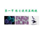 人教版生物七年级上2.1.1使用显微镜课件 课件