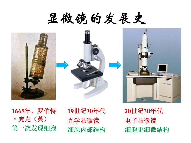 人教版生物七年级上2.1.1使用显微镜课件 课件03