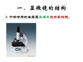 人教版生物七年级上2.1.1使用显微镜课件 课件