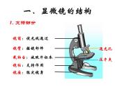 人教版生物七年级上2.1.1使用显微镜课件 课件
