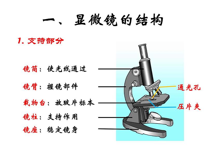 人教版生物七年级上2.1.1使用显微镜课件 课件05