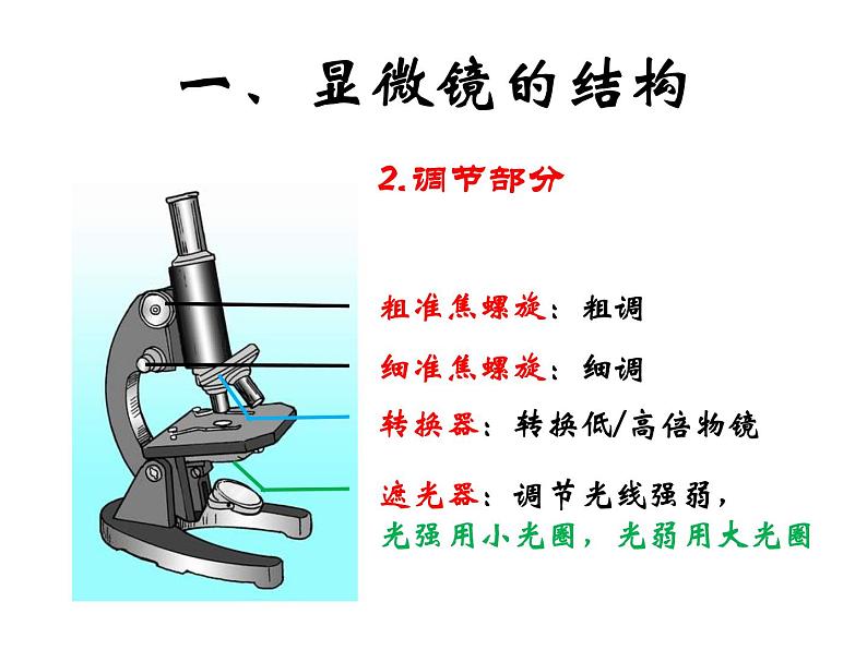 人教版生物七年级上2.1.1使用显微镜课件 课件06