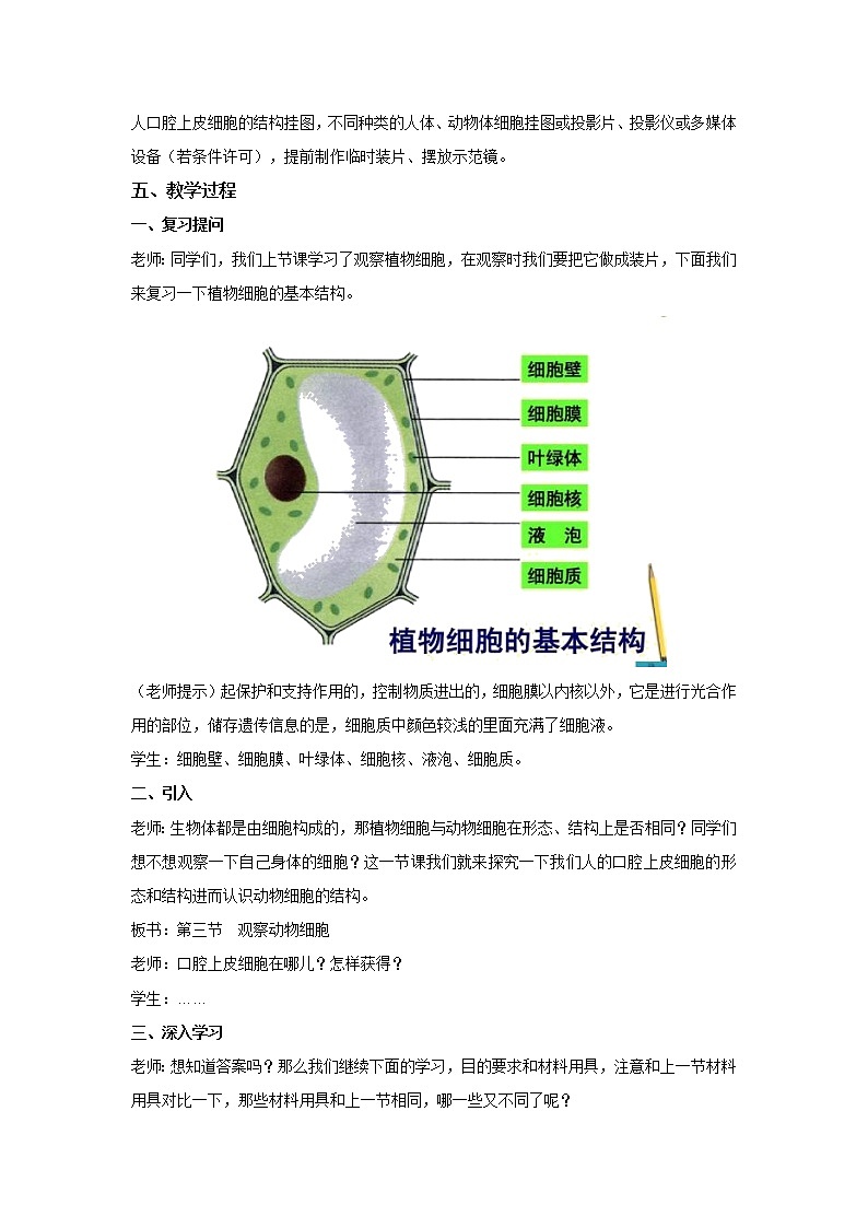 2.1.3 动物细胞 教案 初中生物人教版 七年级上册（2021年）02