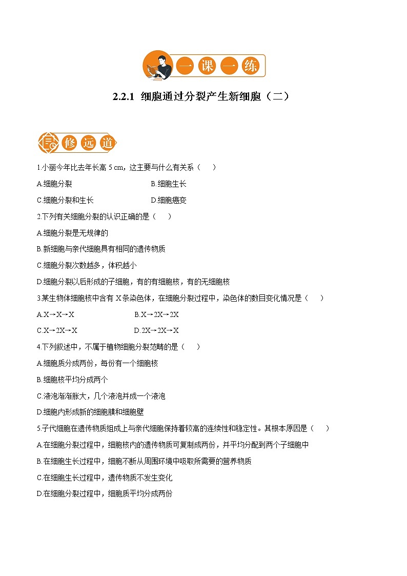 2.2.1 细胞通过分裂产生新细胞 一课一练（二） 初中生物人教版七年级上册（2021年）教案01