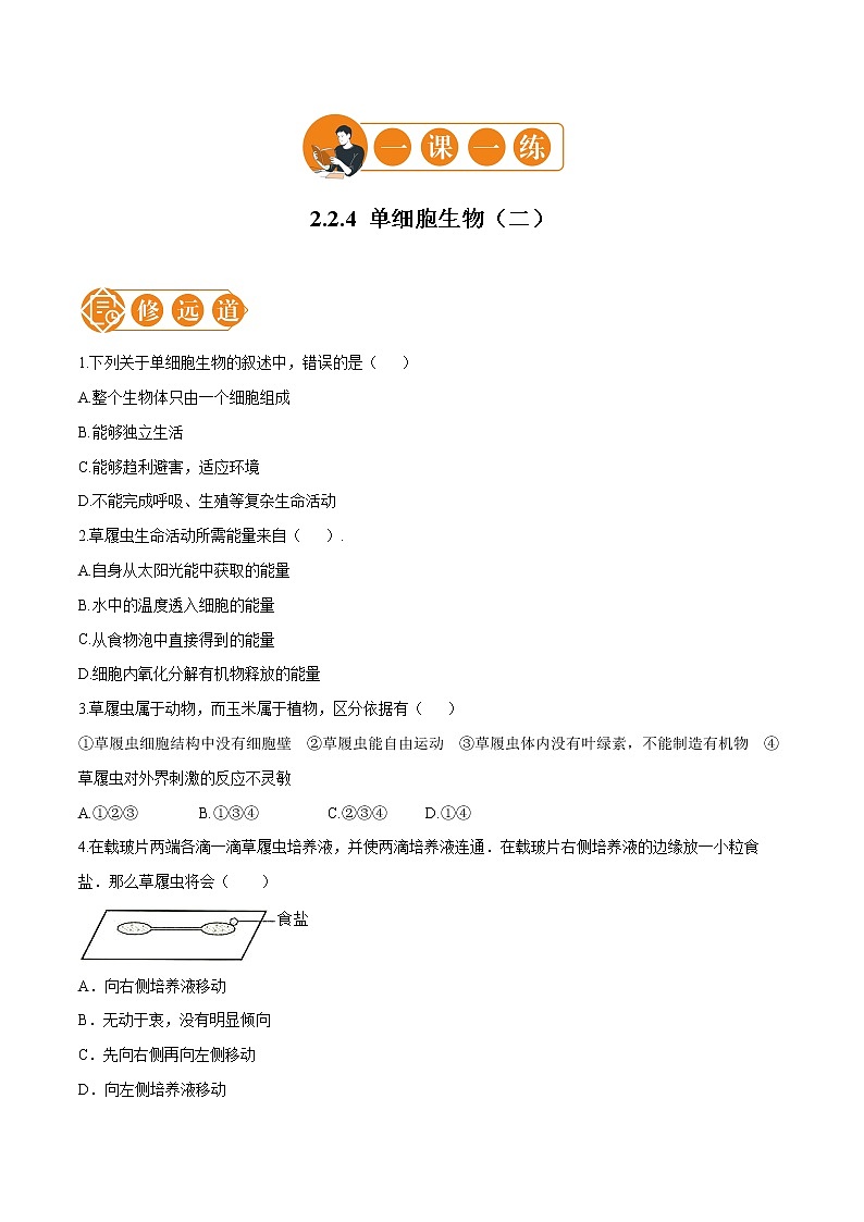 2.2.4 单细胞生物 一课一练（二） 初中生物人教版七年级上册（2021年）第1页