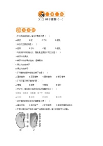 初中人教版 (新课标)第二节 种子植物综合训练题