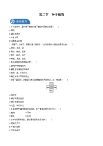 人教版 (新课标)七年级上册第二节 种子植物课堂检测