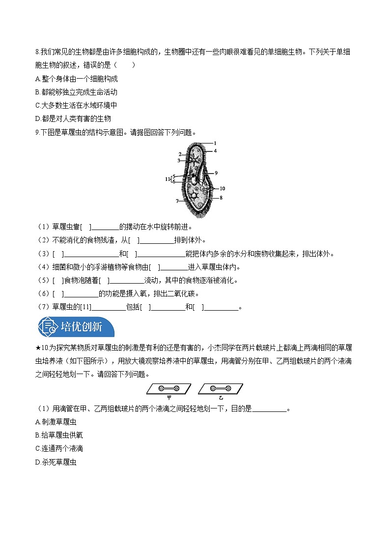 第2章  第4节　单细胞生物 课时练习 初中生物人教版七年级上册（2021年）02