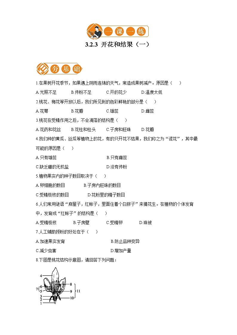 3.2.3  开花和结果 一课一练（一） 初中生物人教版七年级上册（2021年）第1页