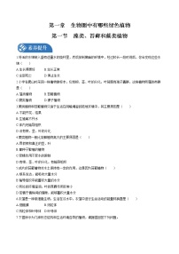 初中生物人教版 (新课标)七年级上册第一节 藻类、苔藓和蕨类植物测试题