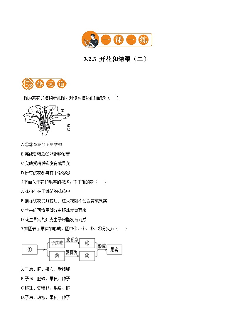 3.2.3 开花和结果 一课一练（二） 初中生物人教版七年级上册（2021年）第1页