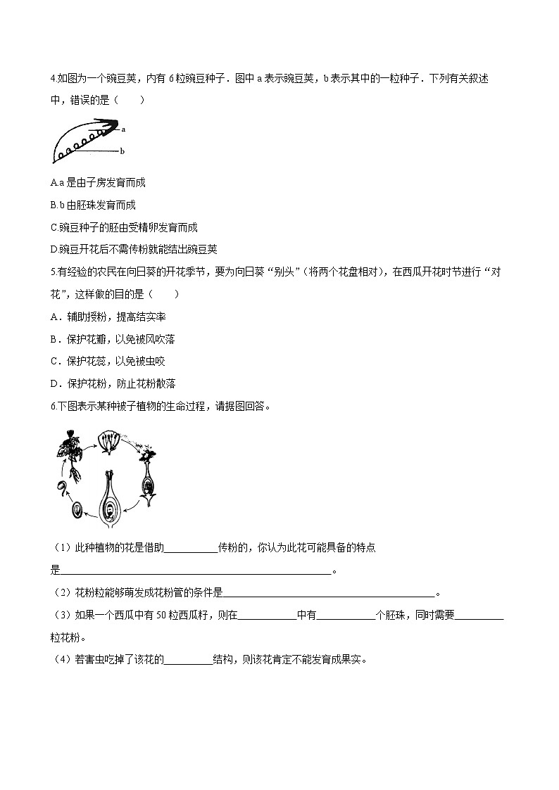 3.2.3 开花和结果 一课一练（二） 初中生物人教版七年级上册（2021年）第2页