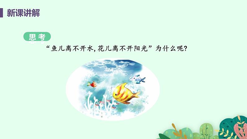 2021年初中生物人教版七年级上册  1.2.1  生物与环境的关系  课件06