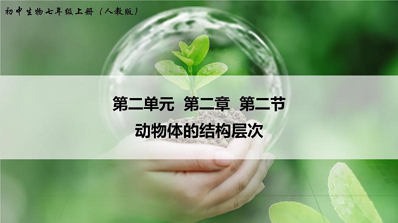 动物体的结构层次PPT课件免费下载01