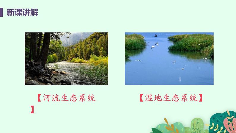 2021年初中生物人教版七年级上册  1.2.2  生物与环境组成生态系统  课件第7页