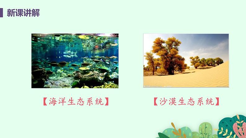 2021年初中生物人教版七年级上册  1.2.2  生物与环境组成生态系统  课件第8页