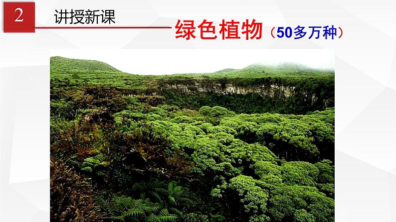 藻类、苔藓和蕨类植物PPT课件免费下载04