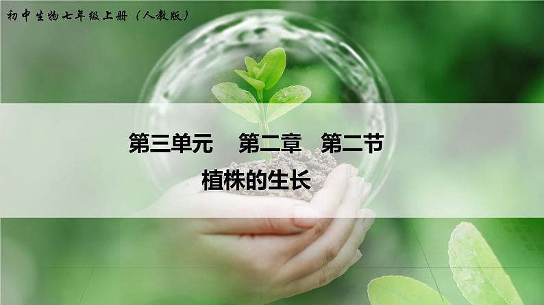 3.2.2 植株的生长 课件 初中生物人教版 七年级上册（2021年）01