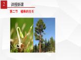 3.2.2 植株的生長 課件 初中生物人教版 七年級上冊（2021年）