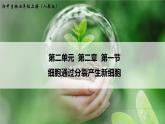 细胞通过分裂产生新细胞PPT课件免费下载