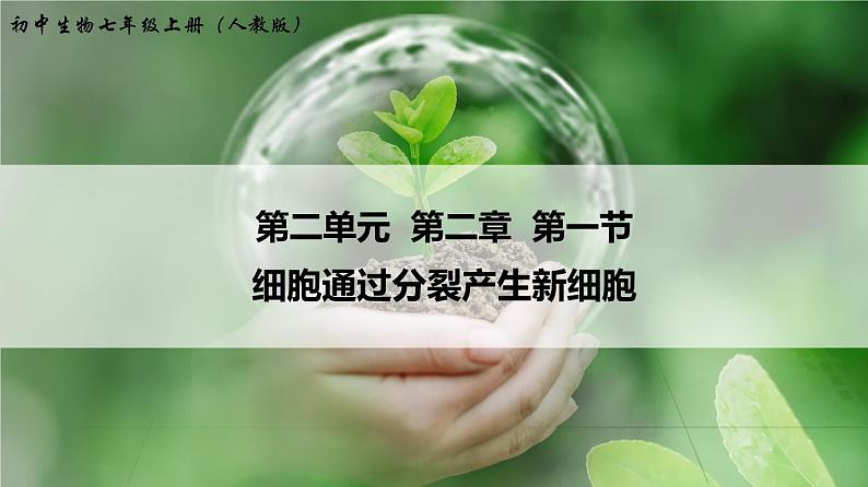 2.2.1 细胞通过分裂产生新细胞 课件 初中生物人教版 七年级上册（2021年）第1页