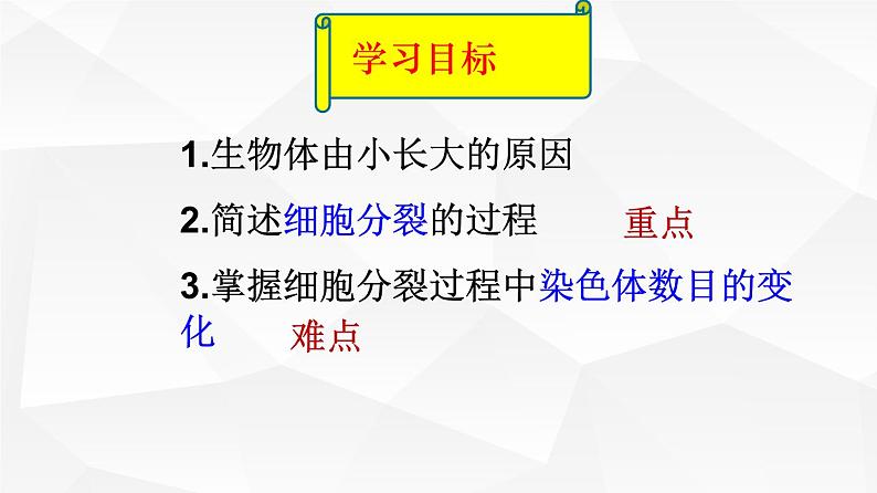 2.2.1 细胞通过分裂产生新细胞 课件 初中生物人教版 七年级上册（2021年）第2页