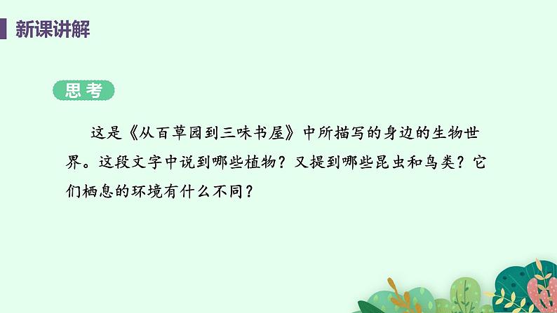 2021年初中生物人教版七年级上册  1.1.2  调查周边环境中的生物  课件第5页