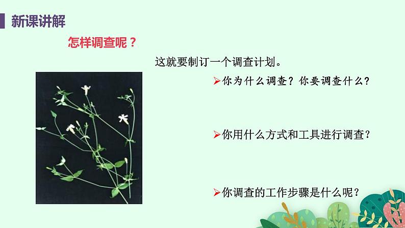 2021年初中生物人教版七年级上册  1.1.2  调查周边环境中的生物  课件第7页