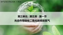 光合作用吸收二氧化碳释放氧气PPT课件免费下载