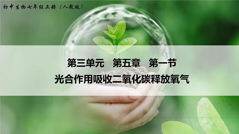 光合作用吸收二氧化碳释放氧气PPT课件免费下载01