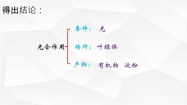 光合作用吸收二氧化碳释放氧气PPT课件免费下载06