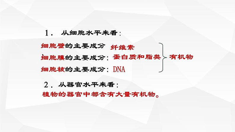 光合作用吸收二氧化碳释放氧气PPT课件免费下载07