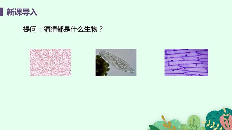 2021年初中生物人教版七年级上册  2.1.1  练习使用显微镜  课件04