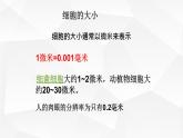 2.1.1 练习使用显微镜 课件 初中生物人教版 七年级上册（2021年）