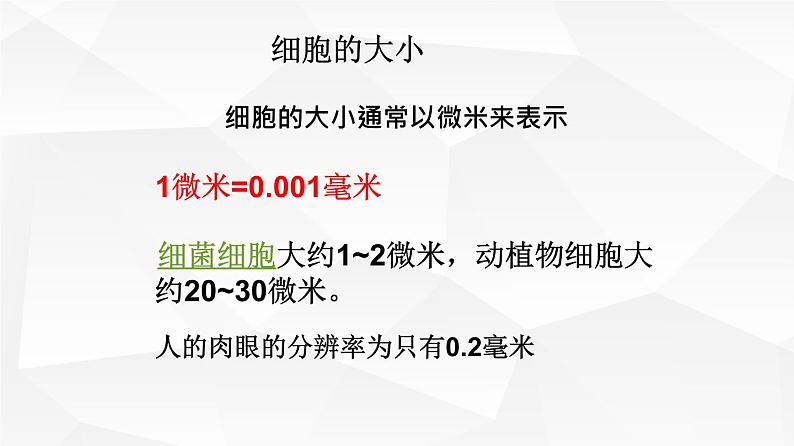 2.1.1 练习使用显微镜 课件 初中生物人教版 七年级上册（2021年）04