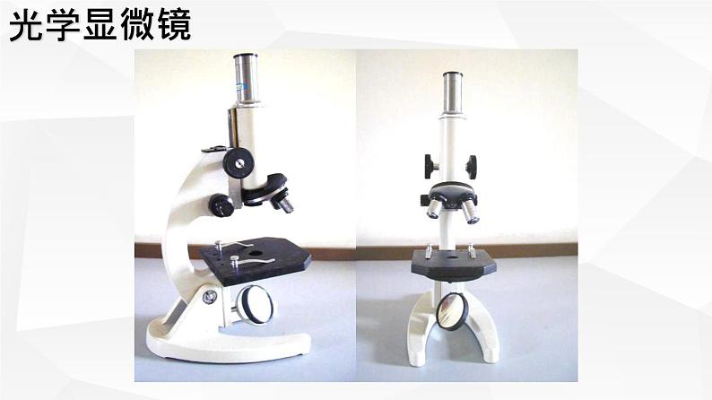 2.1.1 练习使用显微镜 课件 初中生物人教版 七年级上册（2021年）07