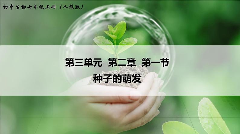 3.2.1 种子的萌发 课件 初中生物人教版 七年级上册（2021年）01