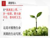 3.2.1 種子的萌發(fā) 課件 初中生物人教版 七年級上冊（2021年）