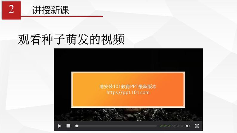 3.2.1 种子的萌发 课件 初中生物人教版 七年级上册（2021年）04