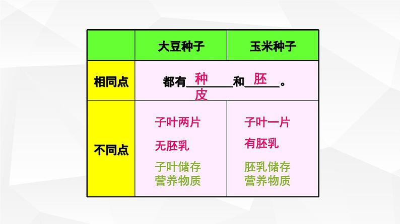 3.2.1 种子的萌发 课件 初中生物人教版 七年级上册（2021年）08