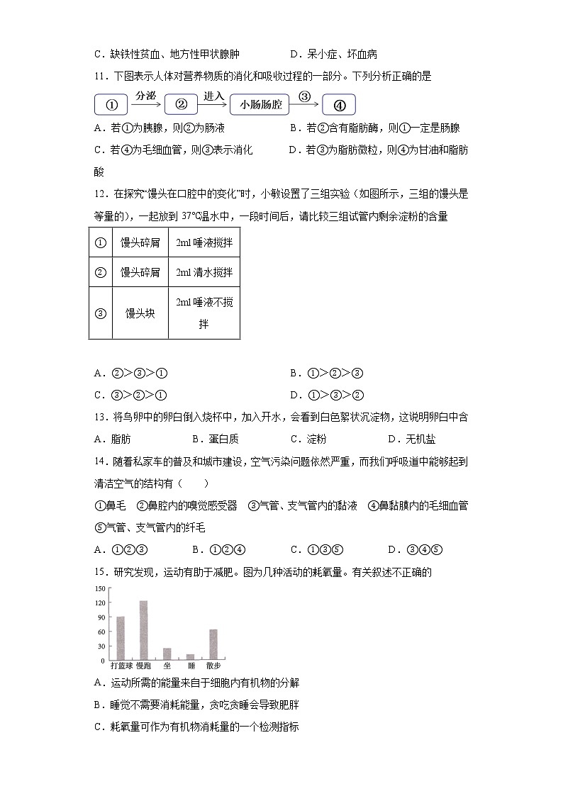 山东省烟台市芝罘区2021-2022学年七年级上学期期中生物试题(word版含答案)03