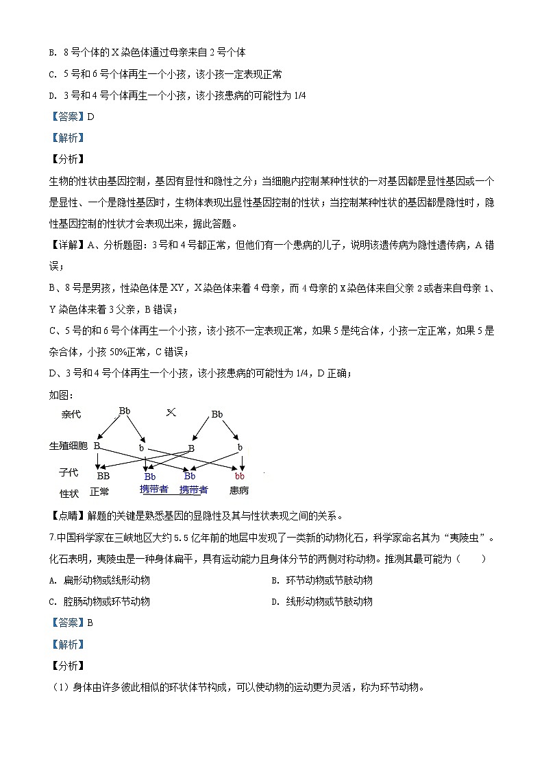 精品解析：2020年山东省淄博市淄川区九年级中考一模生物试题03
