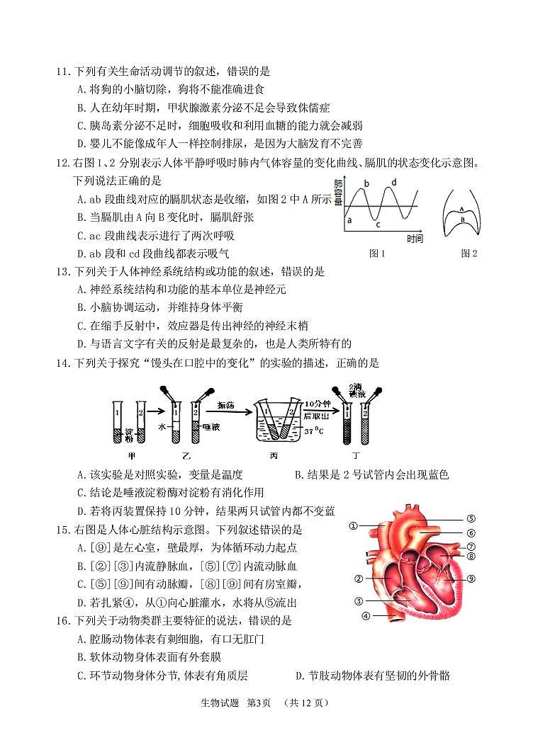 山东省青岛市崂山区2019-2020学年八年级下学期学业一模生物试题（可编辑PDF版）第3页