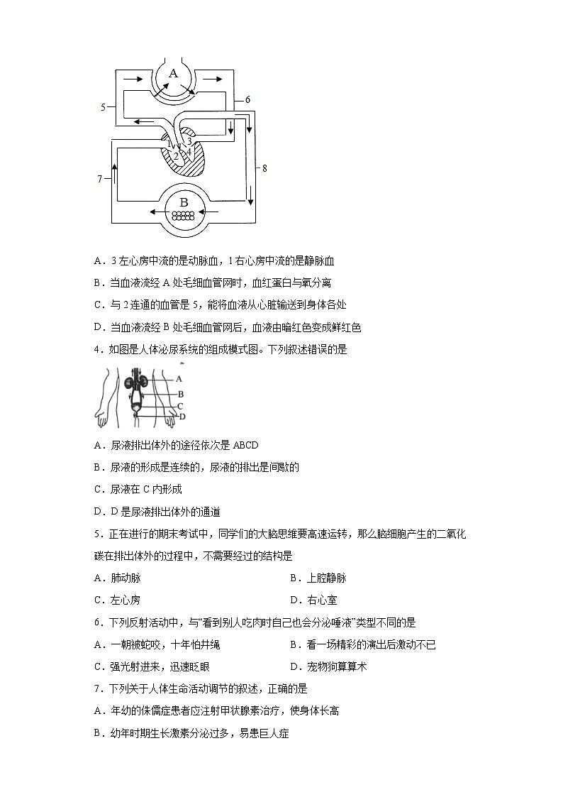 江苏省徐州市联校2021-2022学年八年级上学期期中生物试题(word版含答案)第2页