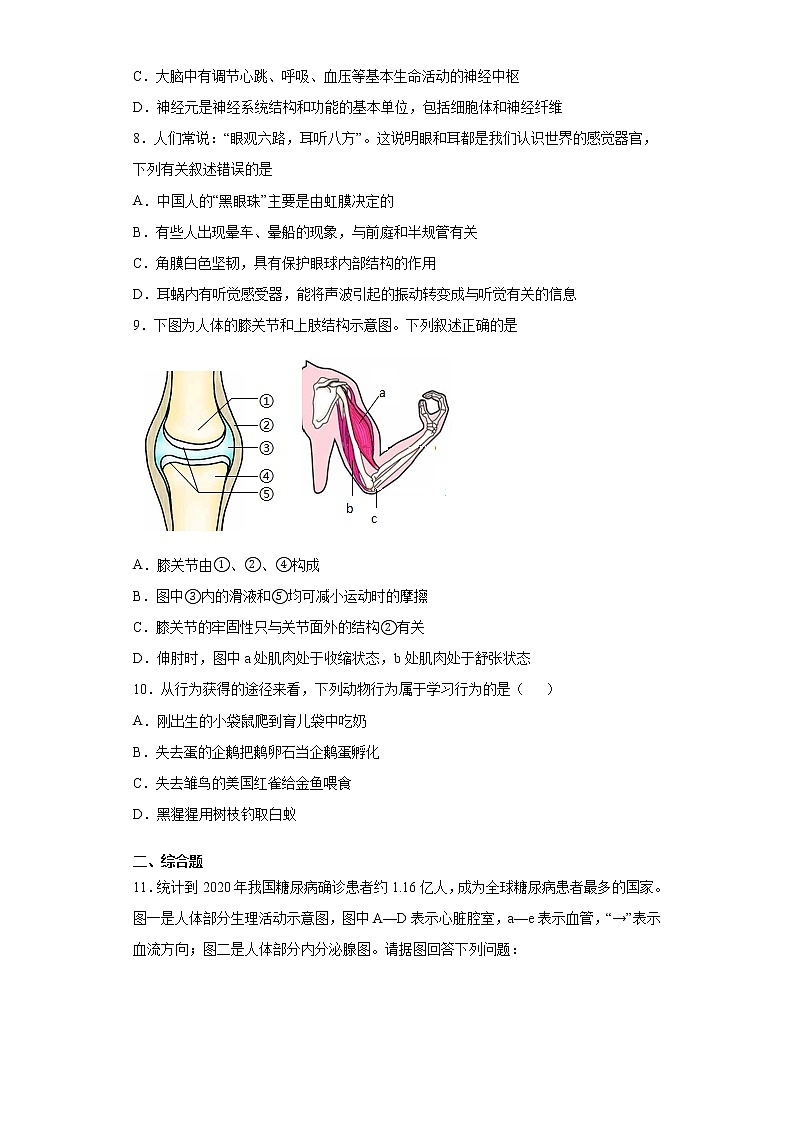 江苏省徐州市联校2021-2022学年八年级上学期期中生物试题(word版含答案)第3页