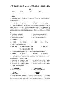 广东省揭阳市揭东区2021-2022学年八年级上学期期中生物试题(word版含答案)