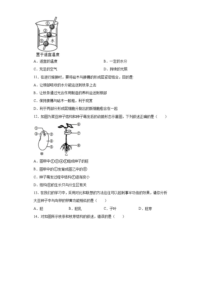 山东省菏泽市成武县2021-2022学年八年级上学期期中生物试题(word版含答案)03