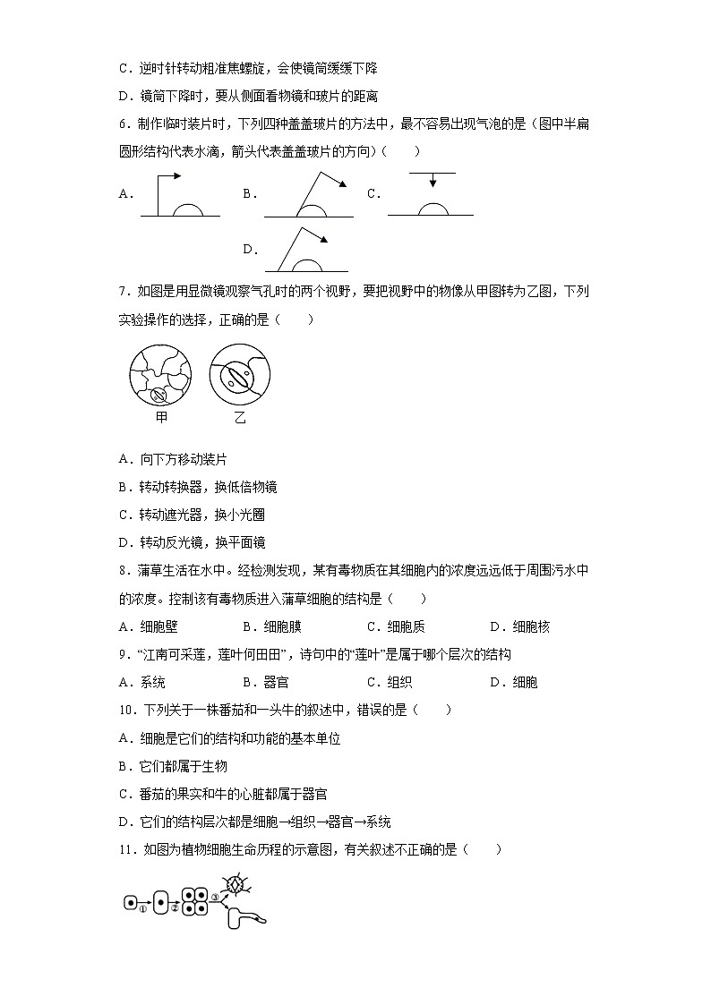 山东省济宁市鱼台县2021-2022学年七年级上学期期中生物试题(word版含答案)第2页