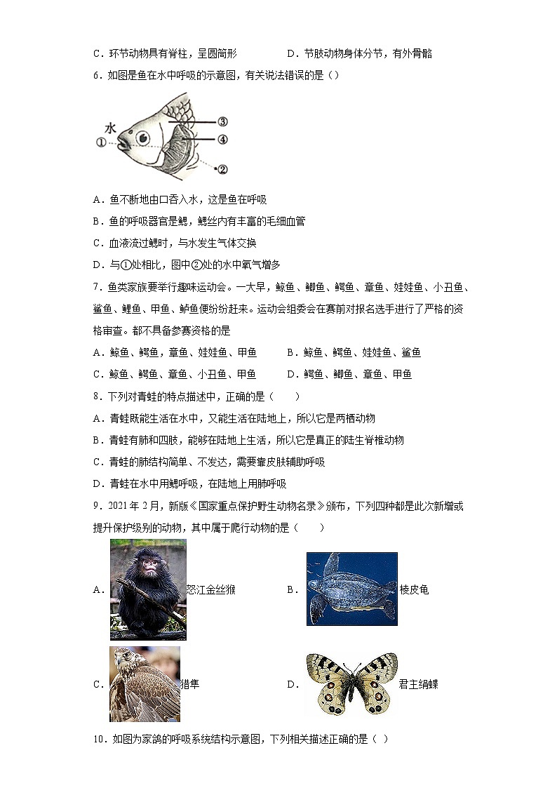 山东省临沂市莒南县2021-2022学年八年级上学期期中生物试题(word版含答案)02