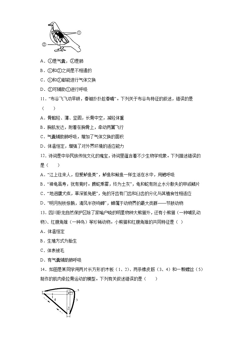 山东省临沂市莒南县2021-2022学年八年级上学期期中生物试题(word版含答案)03